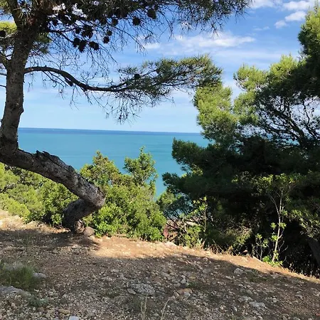 Front De - T3 דירה *