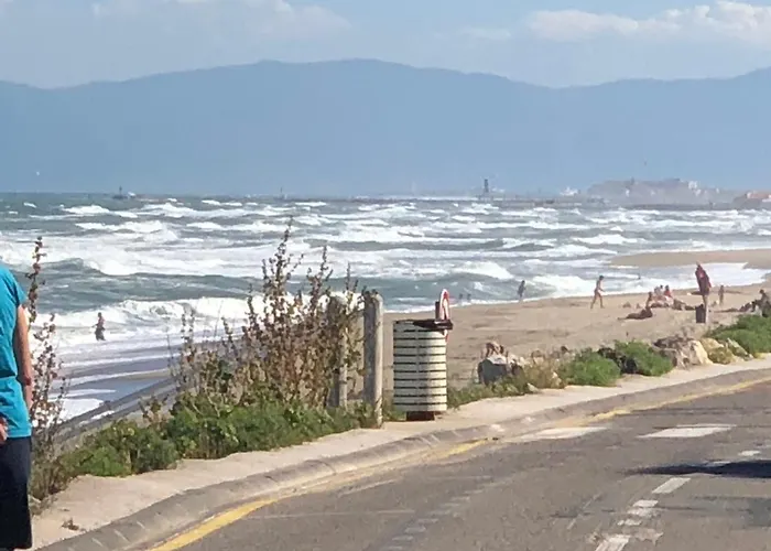 Front De - T3 Appartement